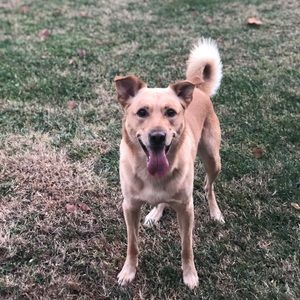 Meet your Posher, Julianne